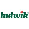 Ludwik