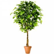 Растение искусственное Лиственное Фикус бенджамина малый H:120CM