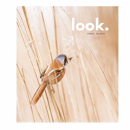 Тетрадь А5 48 л., клет. "Look. Pastel palette" скоба сбоку, обл. карт., Уф-лак, ассроти