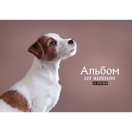 Альбом д/рисования A4 20 л. "Animals", на склейке, ассорти