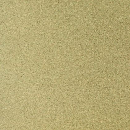 Бумага для пастели "Pastel Card" 50*65 см, 360 г/м2, зеленый светлый