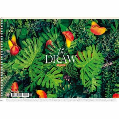 Альбом д/рисования A4 20 л. "The draw" на спирали, ассорти