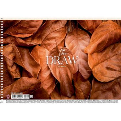 Альбом д/рисования A4 20 л. "The draw" на спирали, ассорти