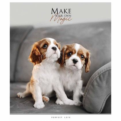 Тетрадь А5 48 л., клет. "Make your own magic" скоба сбоку, обл. карт., УФ-лак, ассорти