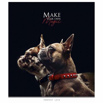 Тетрадь А5 48 л., клет. "Make your own magic" скоба сбоку, обл. карт., УФ-лак, ассорти