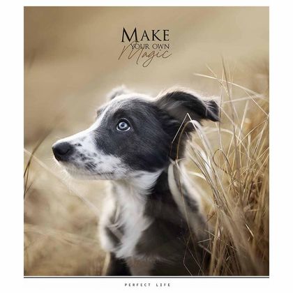 Тетрадь А5 48 л., клет. "Make your own magic" скоба сбоку, обл. карт., УФ-лак, ассорти