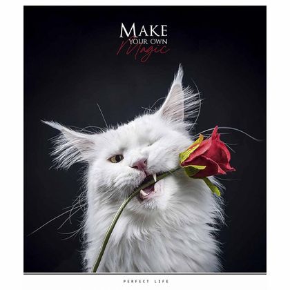Тетрадь А5 48 л., клет. "Make your own magic" скоба сбоку, обл. карт., УФ-лак, ассорти