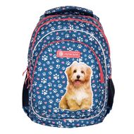 Рюкзак молодежный "Cute puppy" полиэстер., уплот. спинка, синий