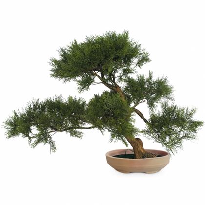 Растение искусственное Хвойное Бонсай сосна малый H:68CM