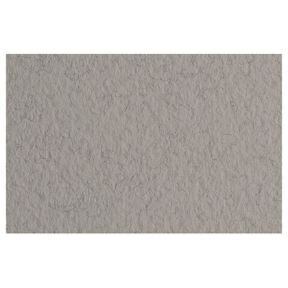 Бумага для пастели "Tiziano" 50*65 см, 160 г/м2, серый теплый