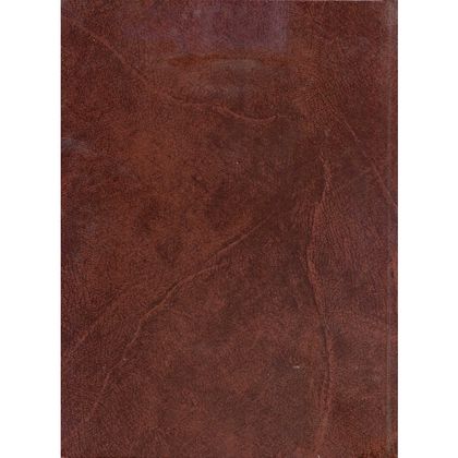 Книга канцеляр. А4 210*297 мм, 96 л., в клетку, обл. бумвинил., коричневый