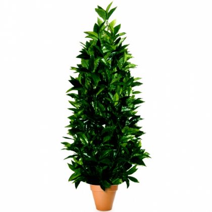 Растение искусственное Лиственное Лавр конусовидный H:90CM