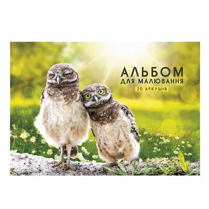 Альбом д/рисования A4 20 л. "Forest Inhabitants" на склейке, ассорти