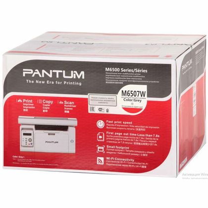 Принтер Pantum M6507 МФУ