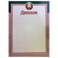 Диплом без степени 13С319