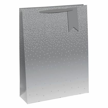 Пакет бумажный подарочный 21,5*10,2*25,3 см "Silver ombre"