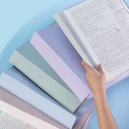Папка на 80 карманов "Deli Pastel" пласт., ассорти