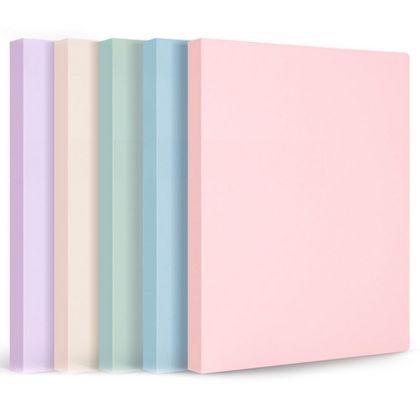 Папка на 80 карманов "Deli Pastel" пласт., ассорти