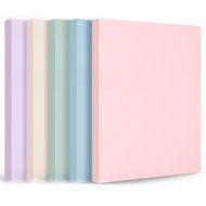 Папка на 80 карманов "Deli Pastel" пласт., ассорти
