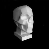Гипсовая модель "Обрубовка черепа по Баммесу"