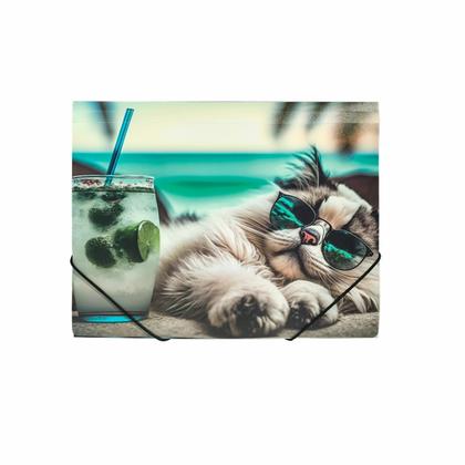 Папка на резинках 15 мм. "Chillout cat" пласт.