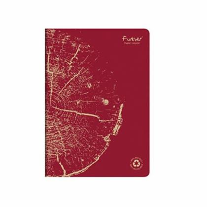 Блокнот А4 210*297 мм, 48 л.,  в клетку "Forever Premium" склейка сбоку, обл. карт., ассорти
