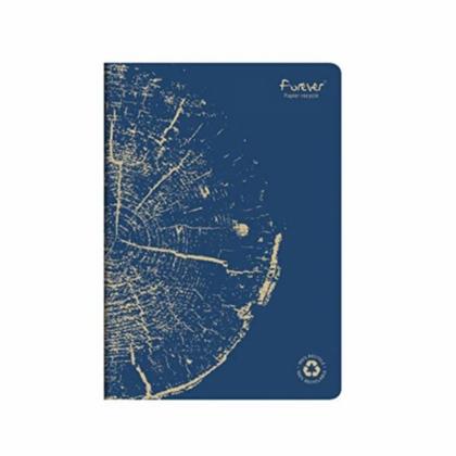 Блокнот А4 210*297 мм, 48 л.,  в клетку "Forever Premium" склейка сбоку, обл. карт., ассорти