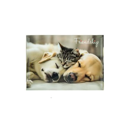 Папка конверт на кнопке А4 "Friendship" разноцветный