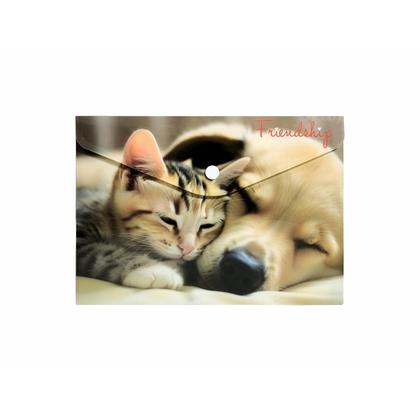 Папка конверт на кнопке А4 "Friendship" разноцветный