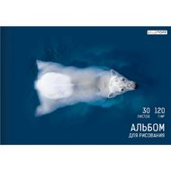 Альбом д/рисования A4 30 л. "Белый медведь" на склейке