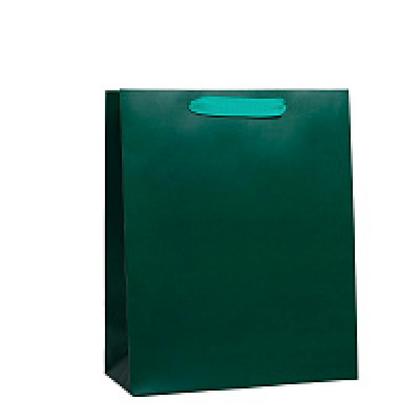 Пакет бумажный подарочный 26*30*9 см "Basic", изумрудный