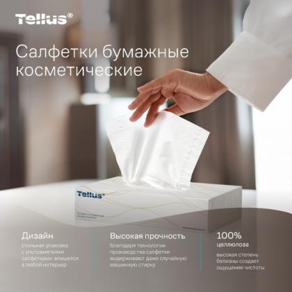 Салфетки косметические Tellus Премиум, 100шт./уп., FT1