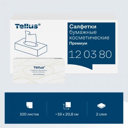 Салфетки косметические Tellus Премиум, 100шт./уп., FT1