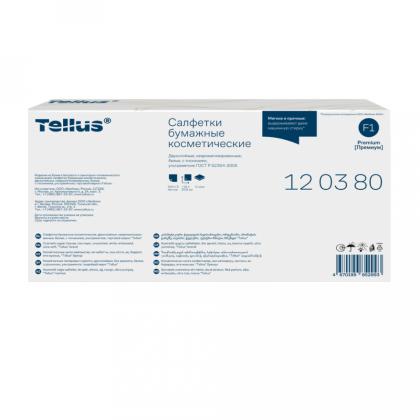 Салфетки косметические Tellus Премиум, 100шт./уп., FT1