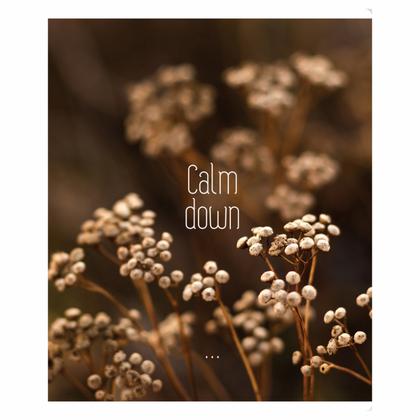 Тетрадь А5 96 л., клет. "Calm down" скоба сбоку, обл. карт., ассорти