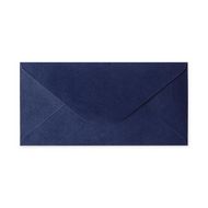 конверт 110*220, DL, ARGO, синий,150г, треуг.клапан, клей. 1 шт.