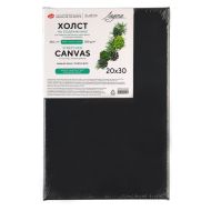Холст на подрамнике 20*30 см "Ладога" 100% хлопок, 380 г/м2, черный акриловый грунт, среднее зерно