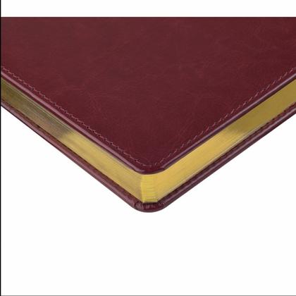 Ежедневник датир. А5 146*206 мм, 336 стр., лин. "Sidney Nebraska" тверд. обл. кожзам., красный, срез золотистый 2026