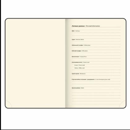 Ежедневник датир. А5 213*138 мм, 336 стр., лин. "Accent" тверд. обл. кожзам, синий 2026