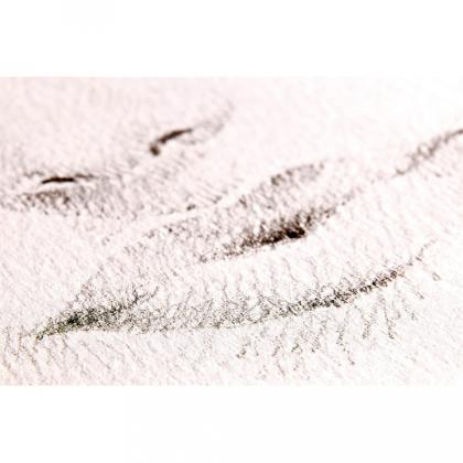 Блок бумаги для рисования "Fabriano. Sand" 21*29,7 см, 120 г/м2, 50 л.