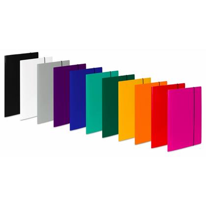 Папка на резинках 20 мм. "VauPe" карт., черный