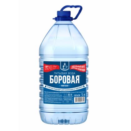 Вода питьевая "Боровая" негазир., 5 л., мягкая, пласт. бутылка