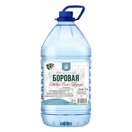 Вода питьевая "Боровая" негазир., 5 л., пласт. бутылка
