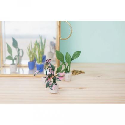 Полимерная глина "Cernit. Starter kit, tiny plants" набор