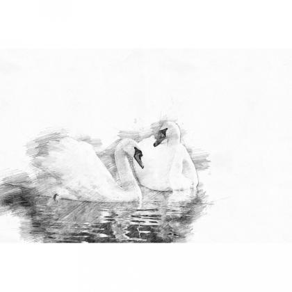Бумага для черчения и графики "Drawing Paper Ream" A3, 250гр/м2, белый